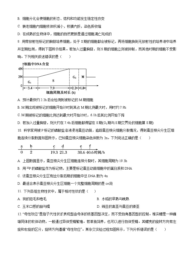 江西省上饶市横峰县横峰中学2023-2024学年高一下学期期中考试生物试卷(原卷版)第3页
