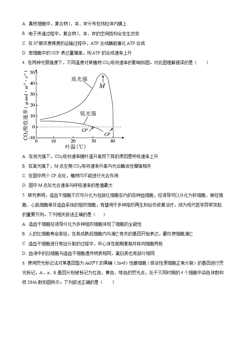 云南省昆明市五华区昆明市第八中学2023-2024学年高二下学期期中考试生物试卷(原卷版)第2页