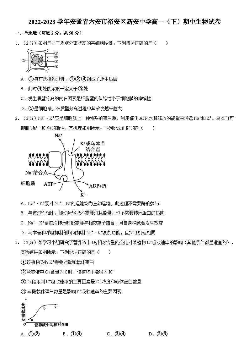 安徽省六安市裕安区新安中学2022-2023学年高一下学期期中生物试卷第1页