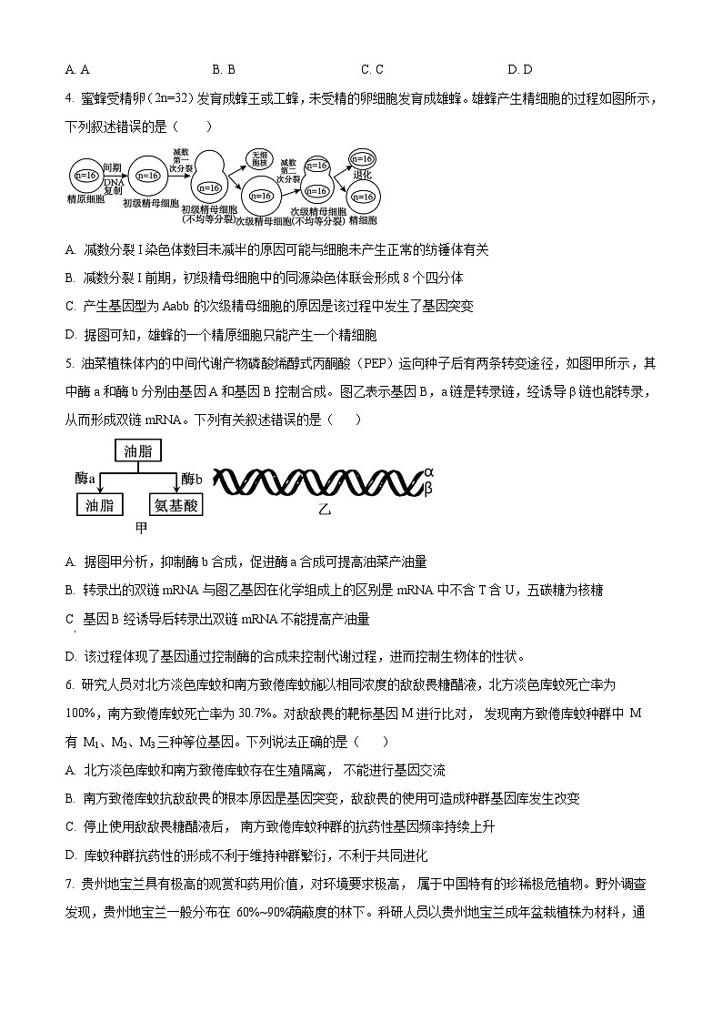 四川省成都市第七中学林荫校区2023-2024学年高三下学期4月模考生物试题(Word版附解析)02
