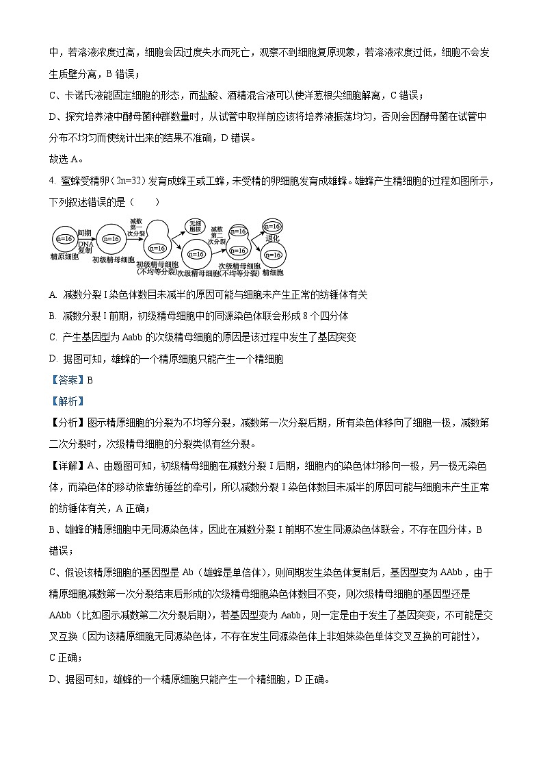 四川省成都市第七中学林荫校区2023-2024学年高三下学期4月模考生物试题(Word版附解析)03