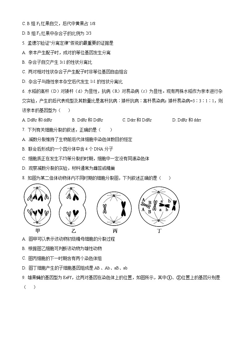 河北省石家庄市辛集市2022-2023学年高一下学期期末生物试题(Word版附解析)02