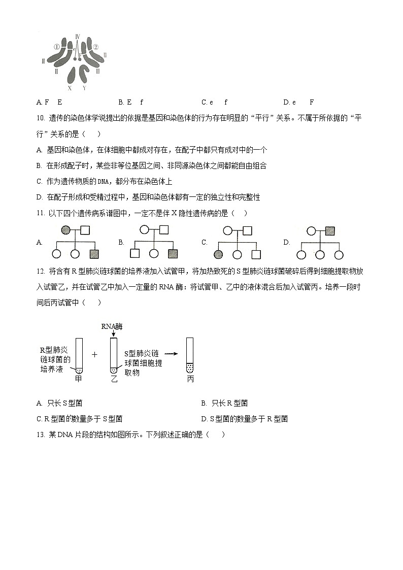 河北省石家庄市辛集市2022-2023学年高一下学期期末生物试题(Word版附解析)03