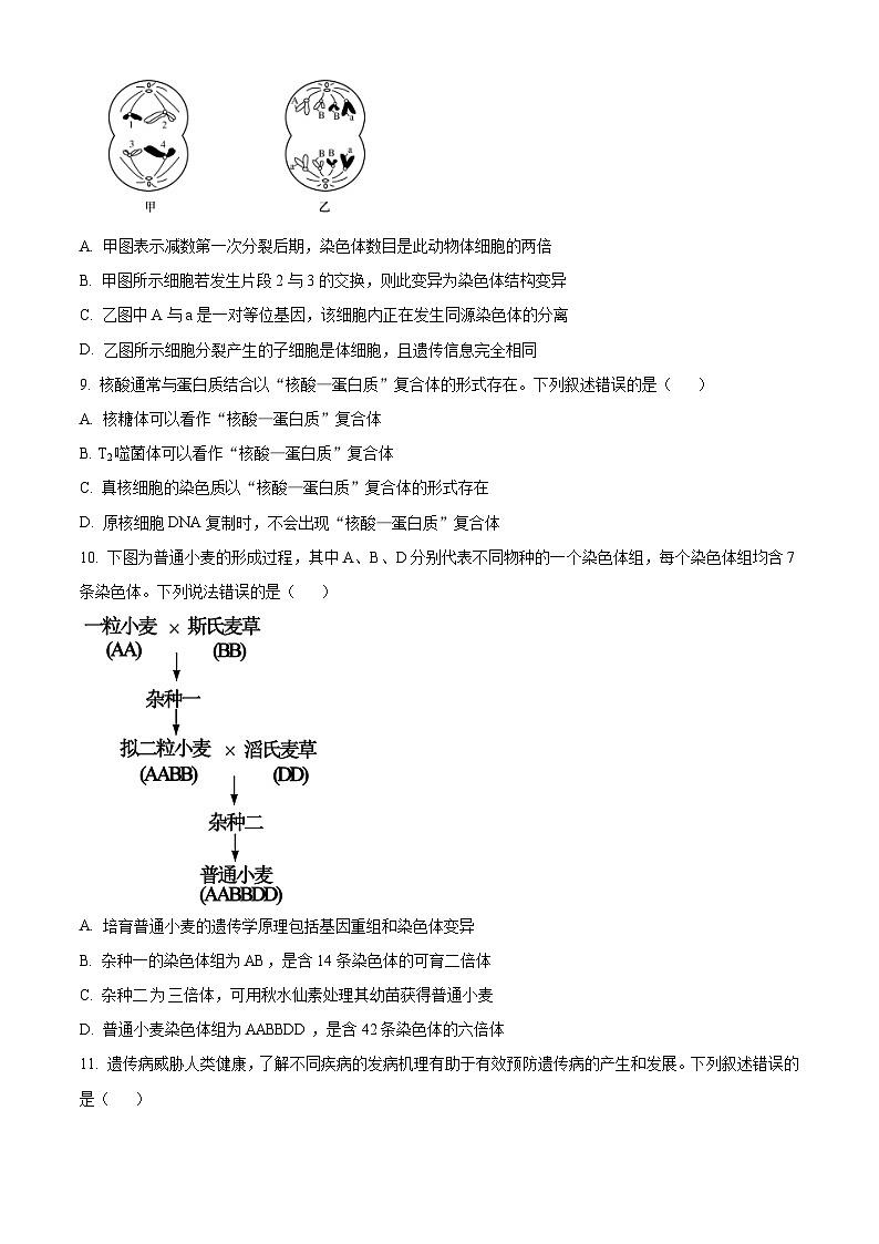 河北省石家庄市2022-2023学年高一下学期期末生物试题 Word版无答案第3页