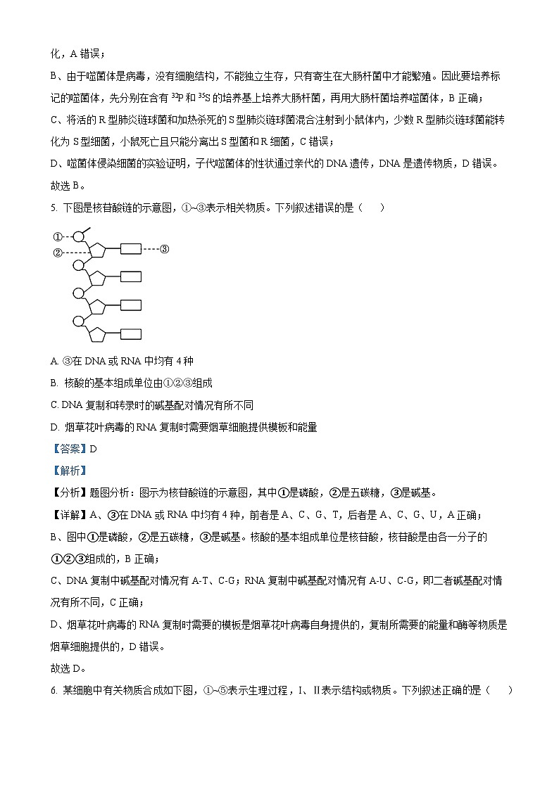 河北省石家庄市2022-2023学年高一下学期期末生物试题 Word版含解析第3页