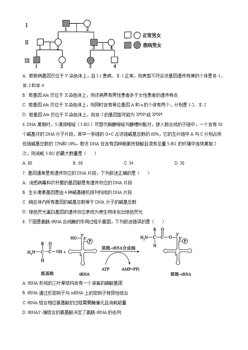 河北省邯郸市2022-2023学年高一下学期期末生物试题 Word版无答案第2页
