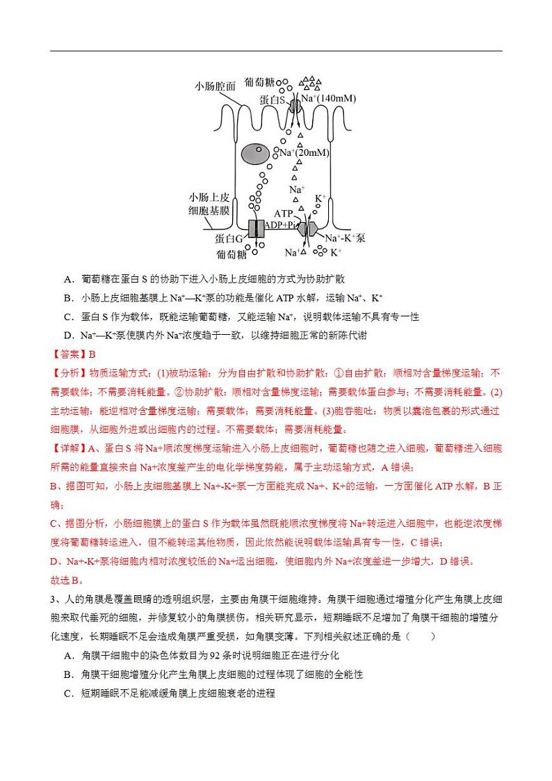 2024年高考押题预测卷—生物(广东卷02)(解析版)02
