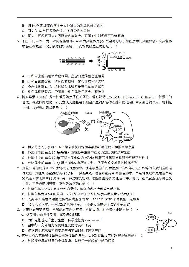 2024年高考押题预测卷—生物(江苏卷02)(考试版)第2页