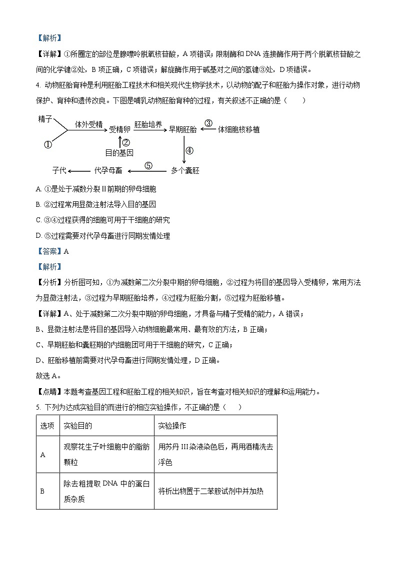福建省厦门市湖滨中学2023-2024学年高二下学期期中考试生物试题(原卷版+解析版)03