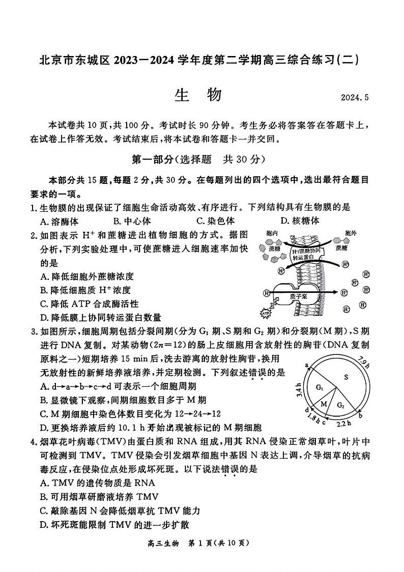 北京市东城区2024年高三二模考试生物试题01
