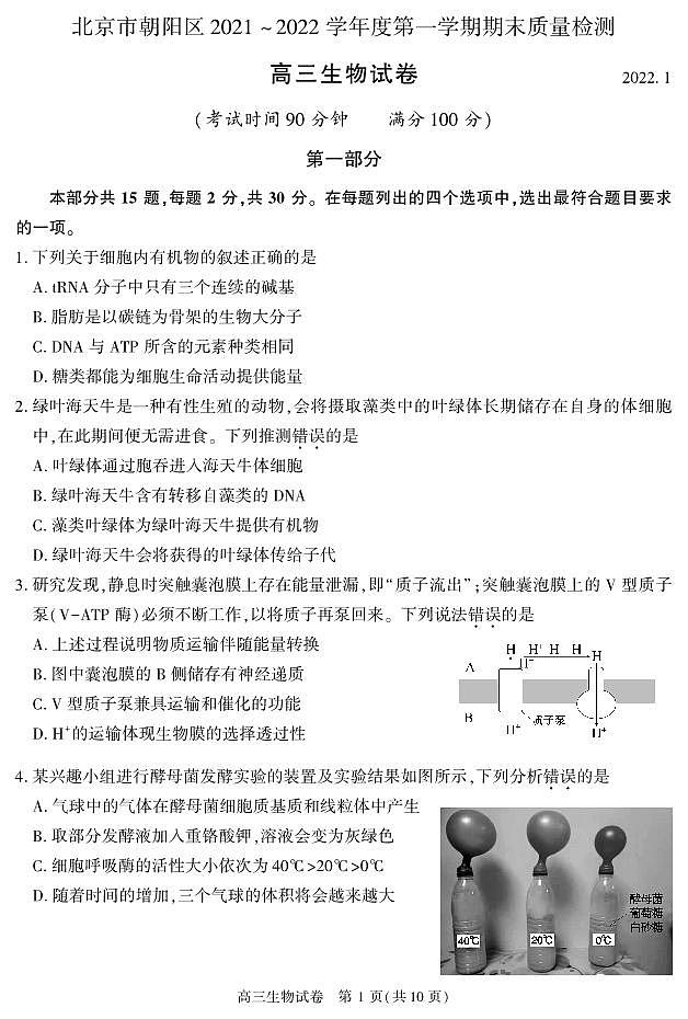2022北京市朝阳区高三上学期期末生物试卷及答案01