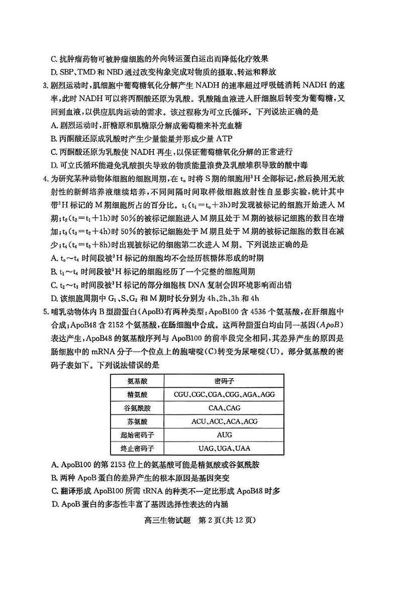 2024届山东省滨州市高三二模生物试题+答案(5月9日滨州二模)02