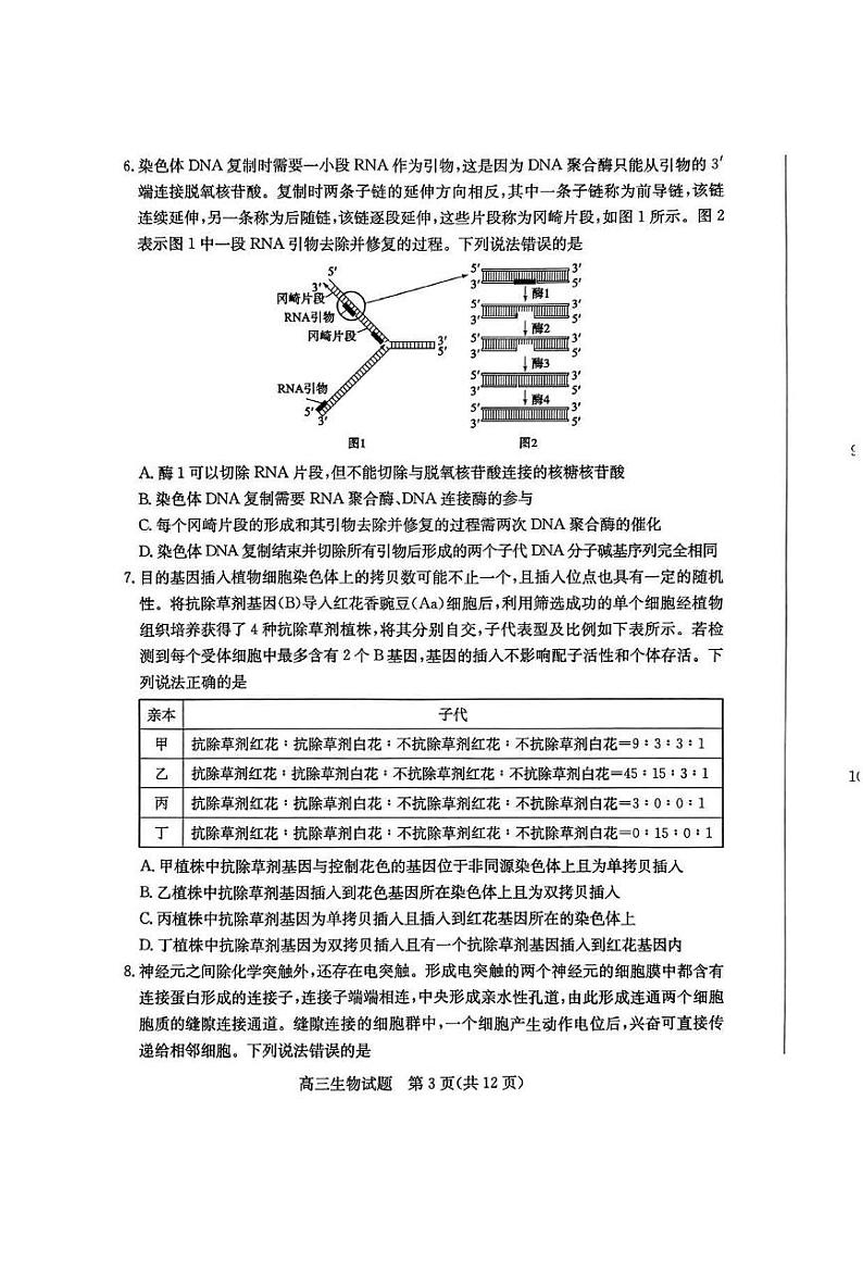 2024届山东省滨州市高三二模生物试题+答案(5月9日滨州二模)03