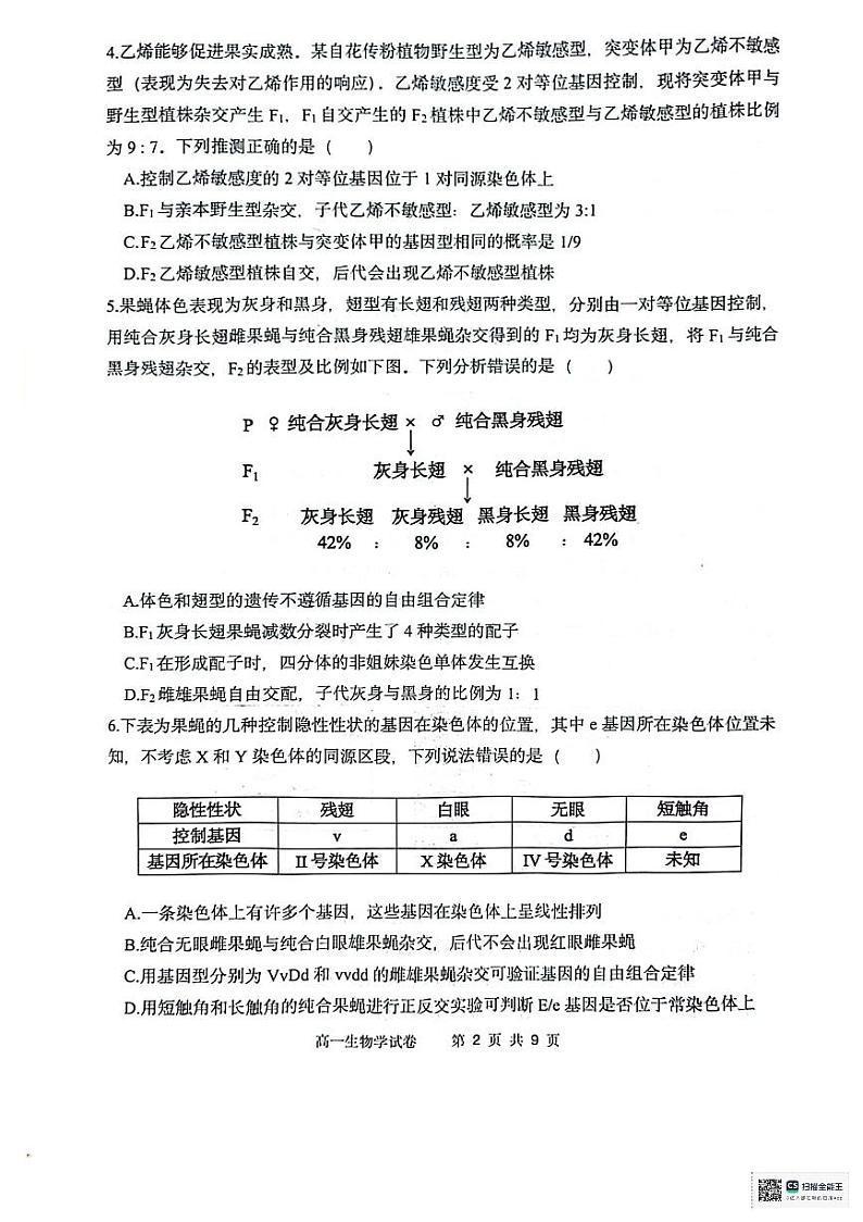 辽宁省大连市滨城高中联盟2023-2024学年高一下学期期中考试生物试卷第2页