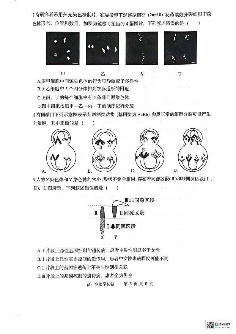 辽宁省大连市滨城高中联盟2023-2024学年高一下学期期中考试生物试卷第3页