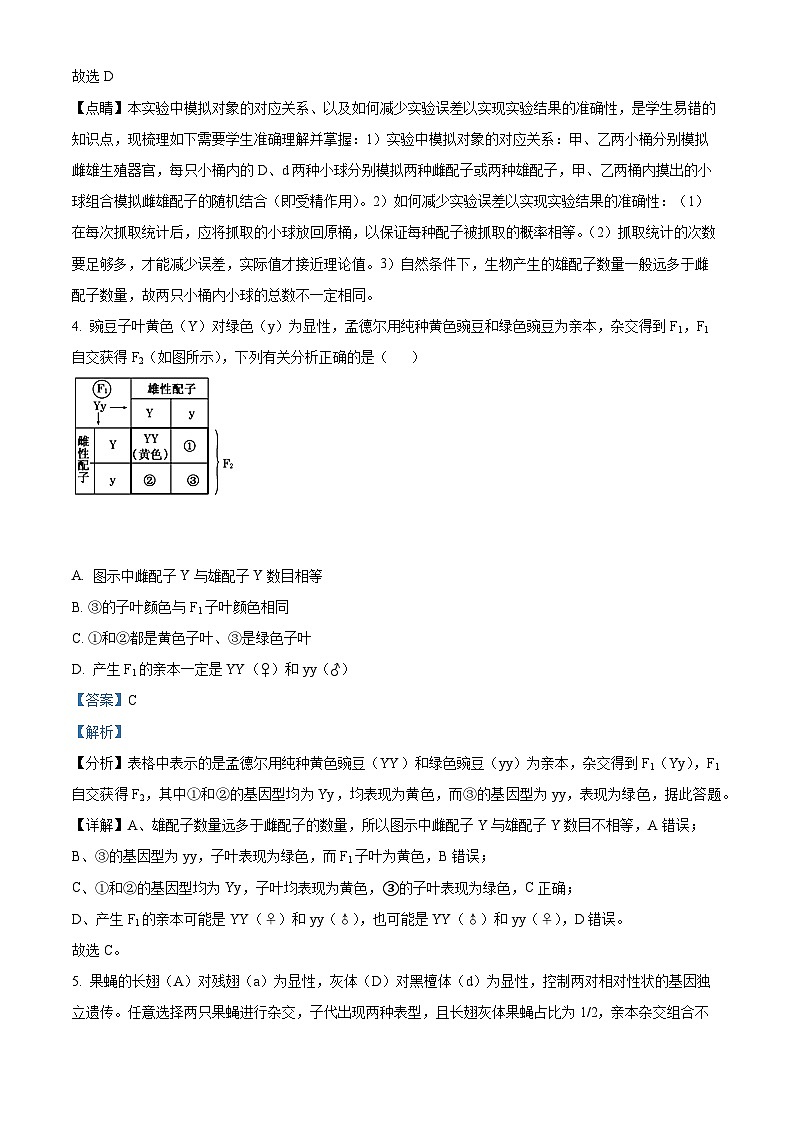 海南省文昌中学2023-2024学年高一下学期期中段考生物试题(原卷版+解析版)03
