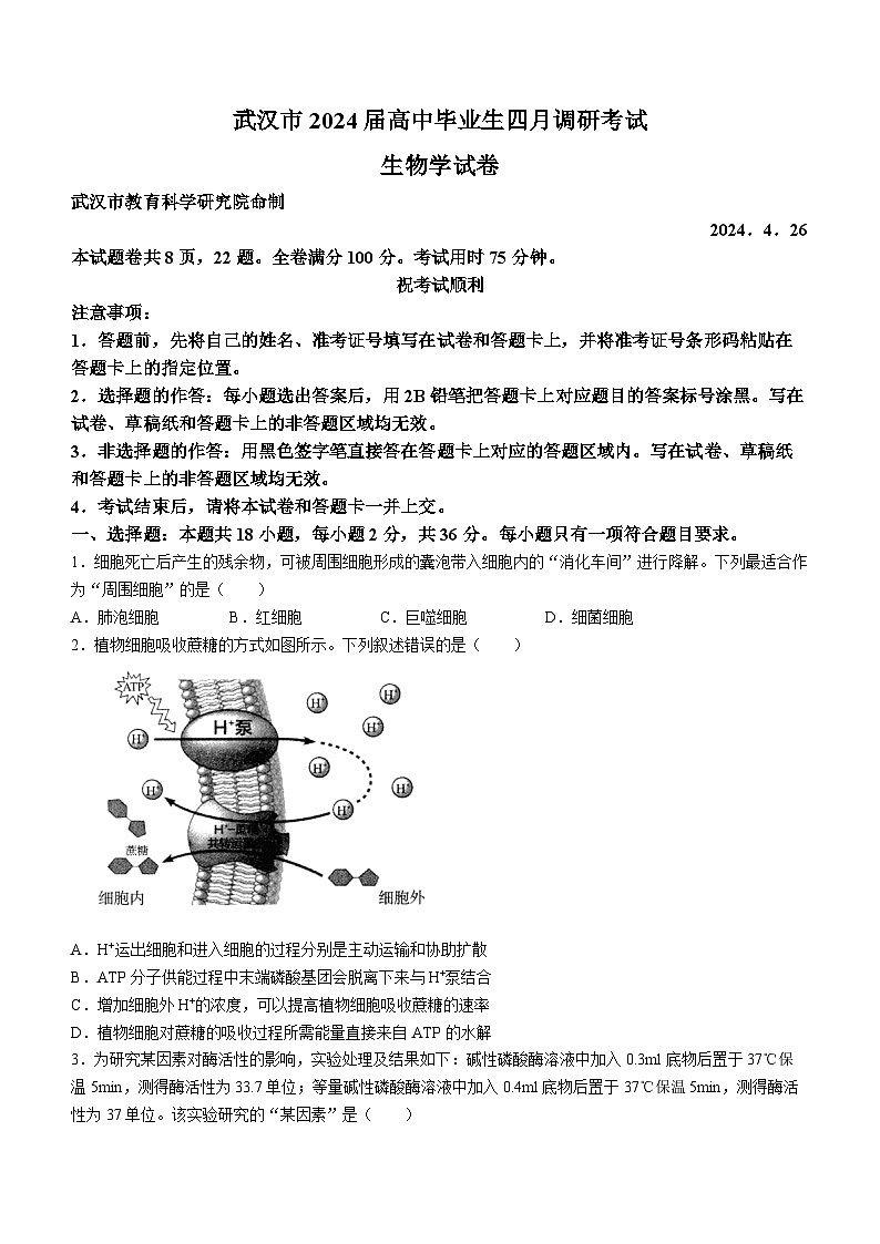 湖北省武汉市2024届高中毕业生四月调研考试生物试卷Word版含答案第1页