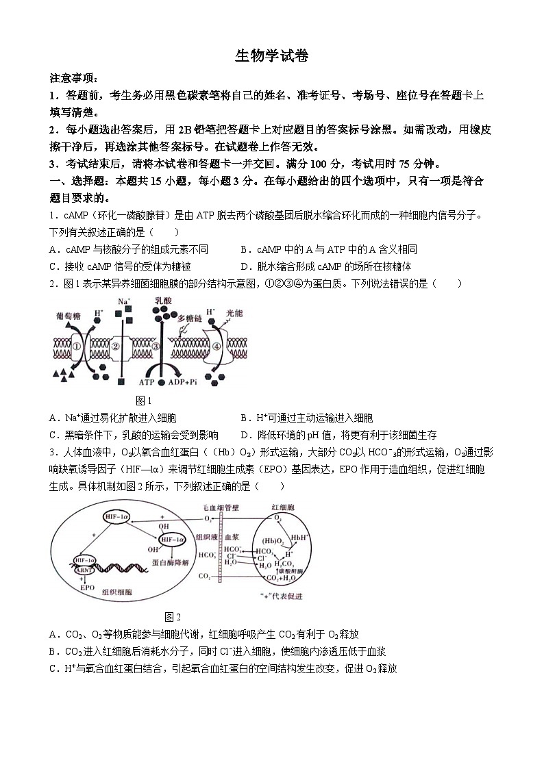 2024届重庆市巴蜀中学校高三下学期高考适应性月考卷(九)生物试题第1页