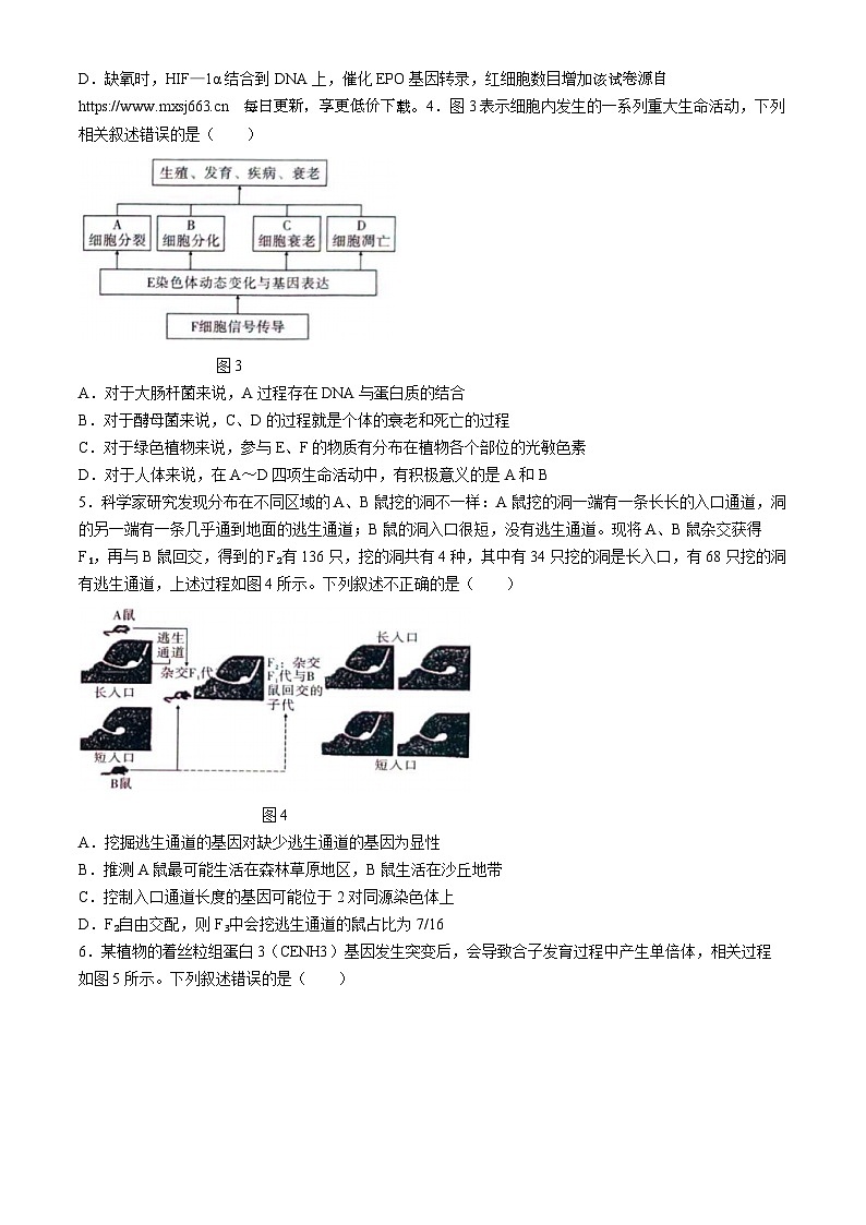 2024届重庆市巴蜀中学校高三下学期高考适应性月考卷(九)生物试题第2页