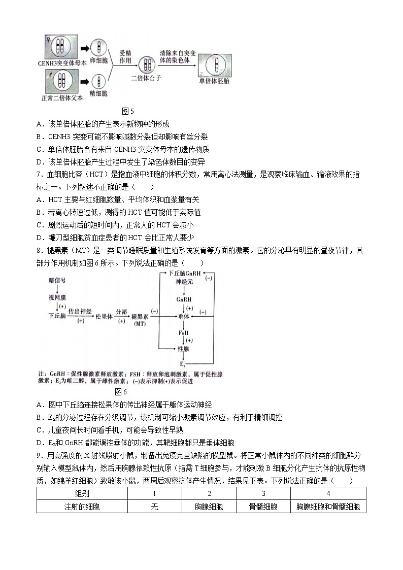 2024届重庆市巴蜀中学校高三下学期高考适应性月考卷(九)生物试题第3页