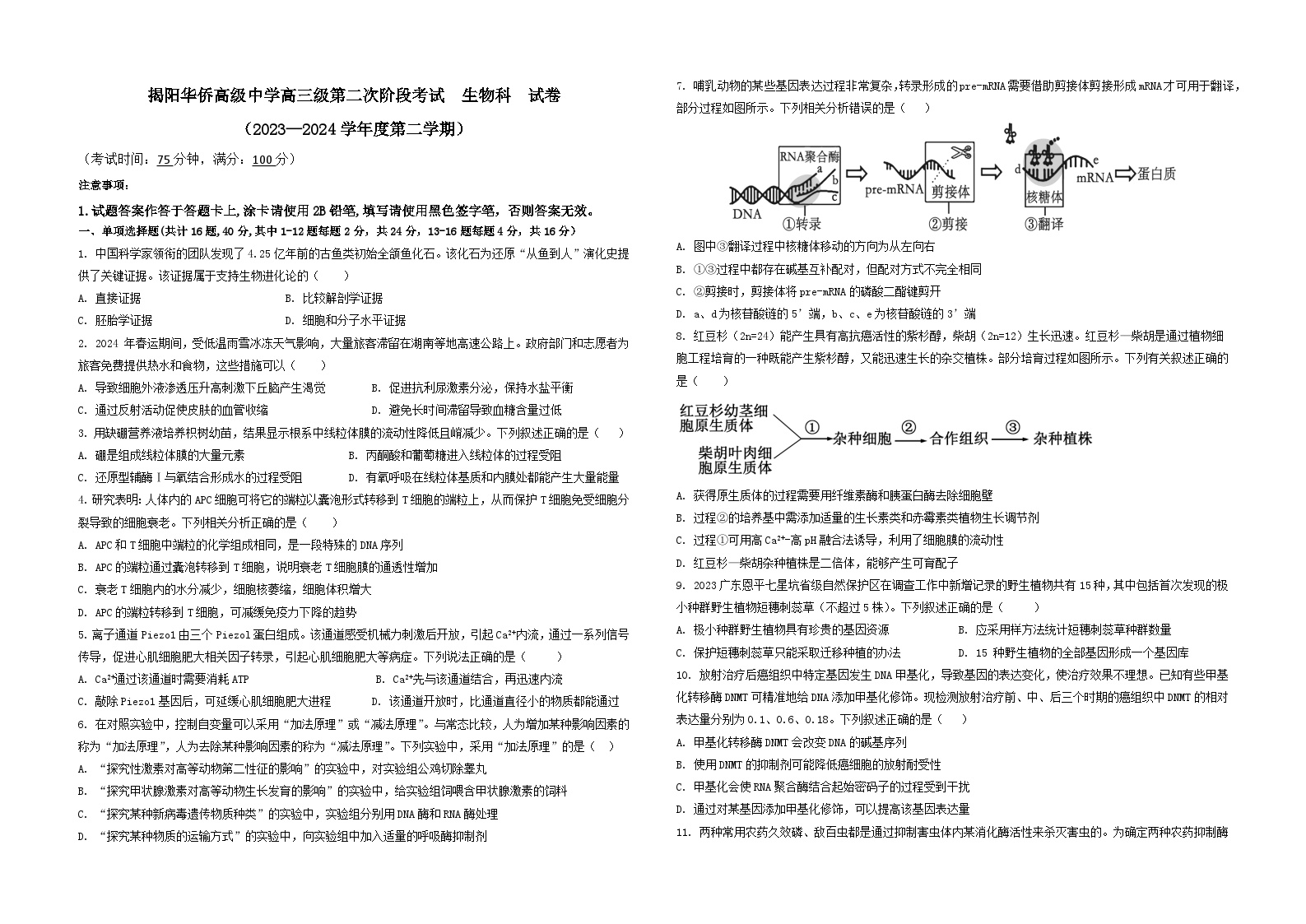 广东省揭阳华侨高级中学2023-2024学年高三下学期第二次阶段期中考试生物试题