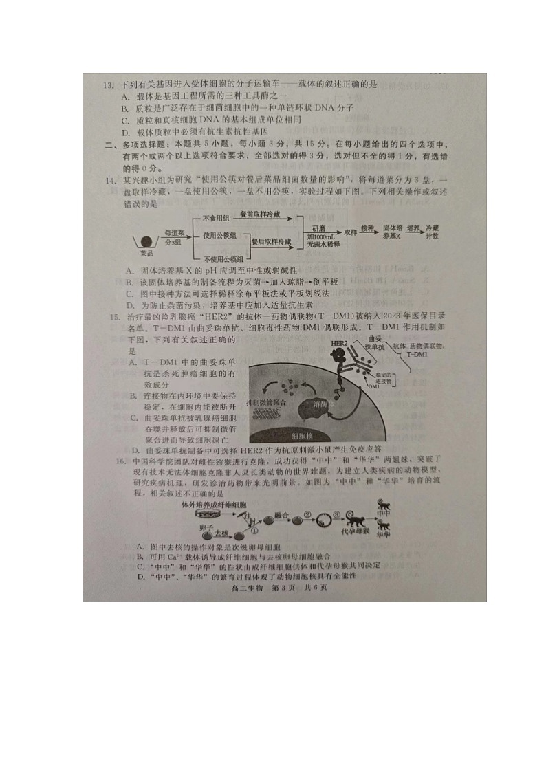 河北省張家口市尚義縣第一中學(xué)等校2023-2024學(xué)年高二年級(jí)下學(xué)期期中考試生物試題第3頁