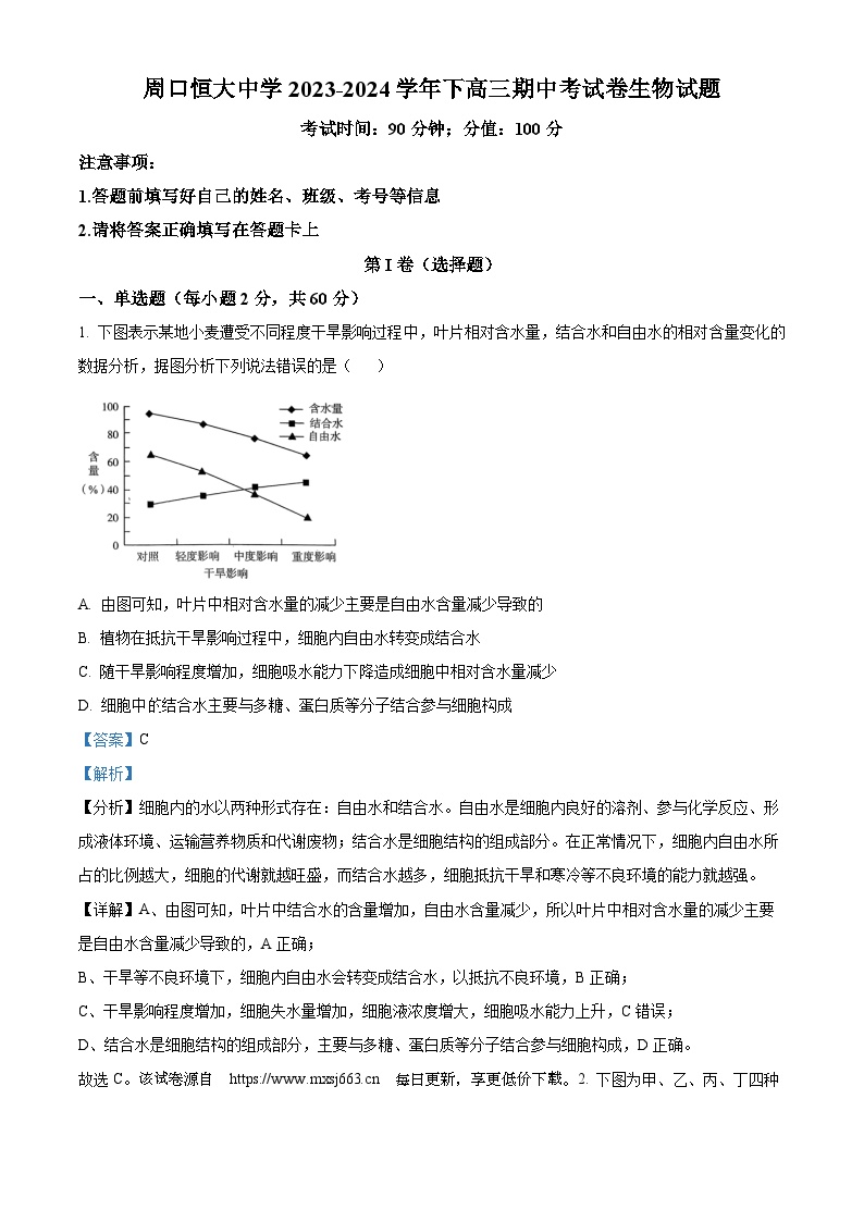 河南省周口市川汇区周口恒大中学2023-2024学年高三下学期4月期中生物试题