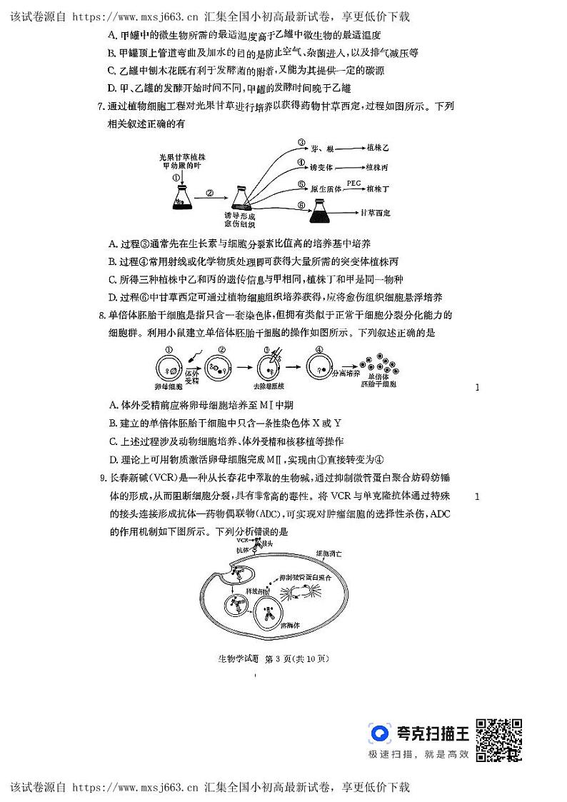 湖南省名校联考联合体2023-2024学年高二下学期期中考试生物试题第3页