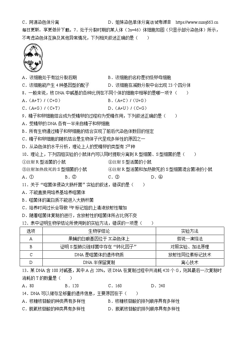 山西省忻州市2023-2024学年高一下学期4月期中联考生物试题02