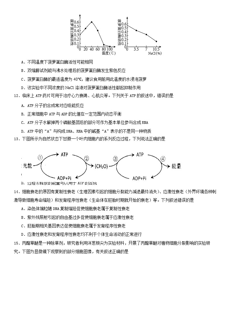 云南省昆明市八中2023-2024学年高一下学期中考试生物试题A卷03
