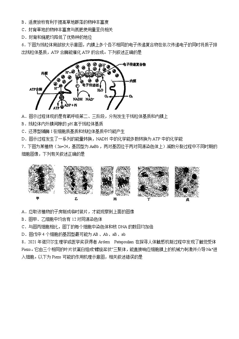 2024天津市南开中学高三下学期第五次月考试题生物含答案第2页