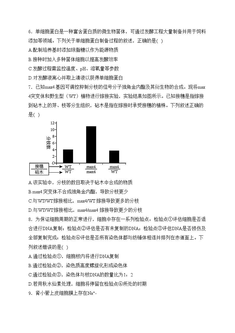 浙江省杭州市2024届高三下学期二模生物试卷(含答案)第2页