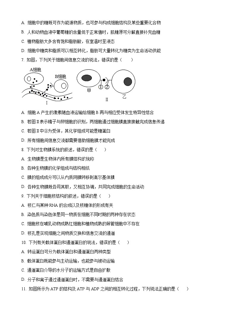 云南省大理白族自治州民族中学2023-2024学年高一下学期5月期中生物试题(原卷版)第2页