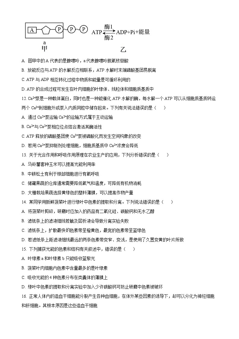 云南省大理白族自治州民族中学2023-2024学年高一下学期5月期中生物试题(原卷版)第3页