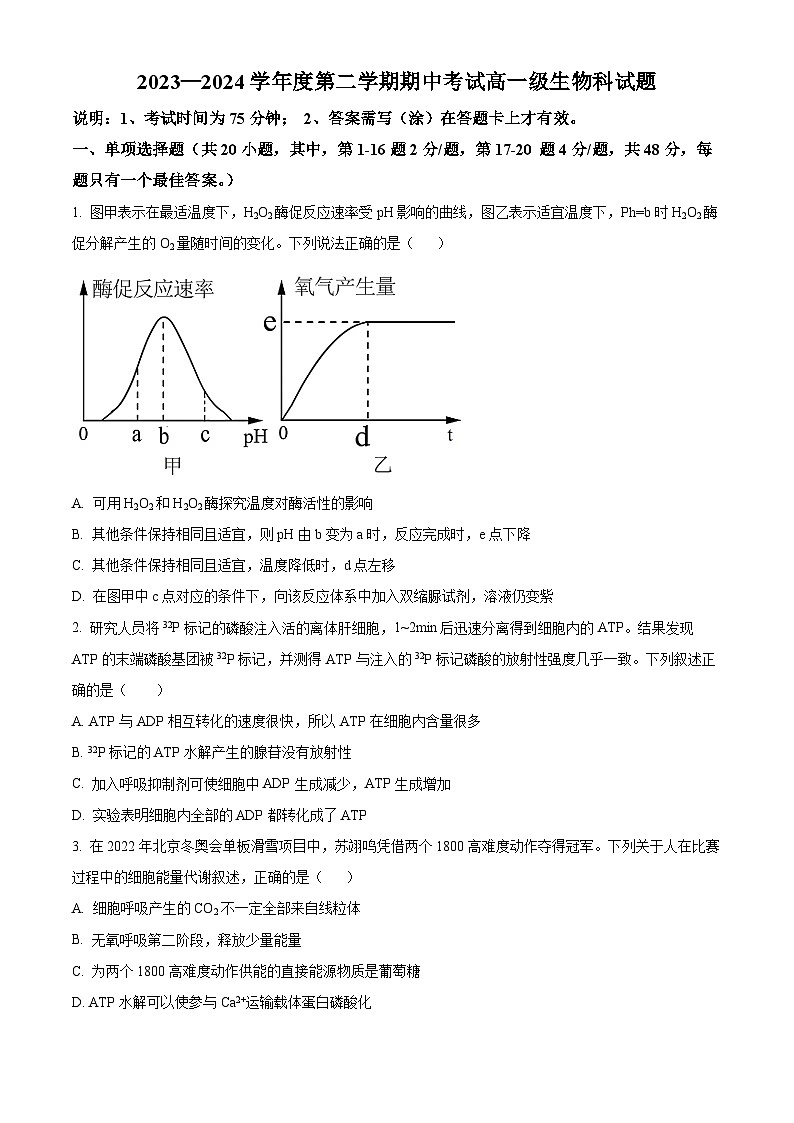 广东省江门市新会第一中学2023-2024学年高一下学期期中考试生物试题(原卷版+解析版)01