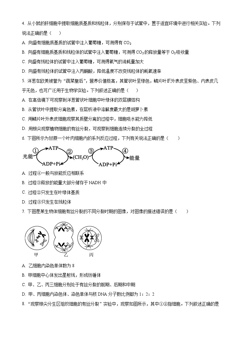 广东省江门市新会第一中学2023-2024学年高一下学期期中考试生物试题(原卷版+解析版)02
