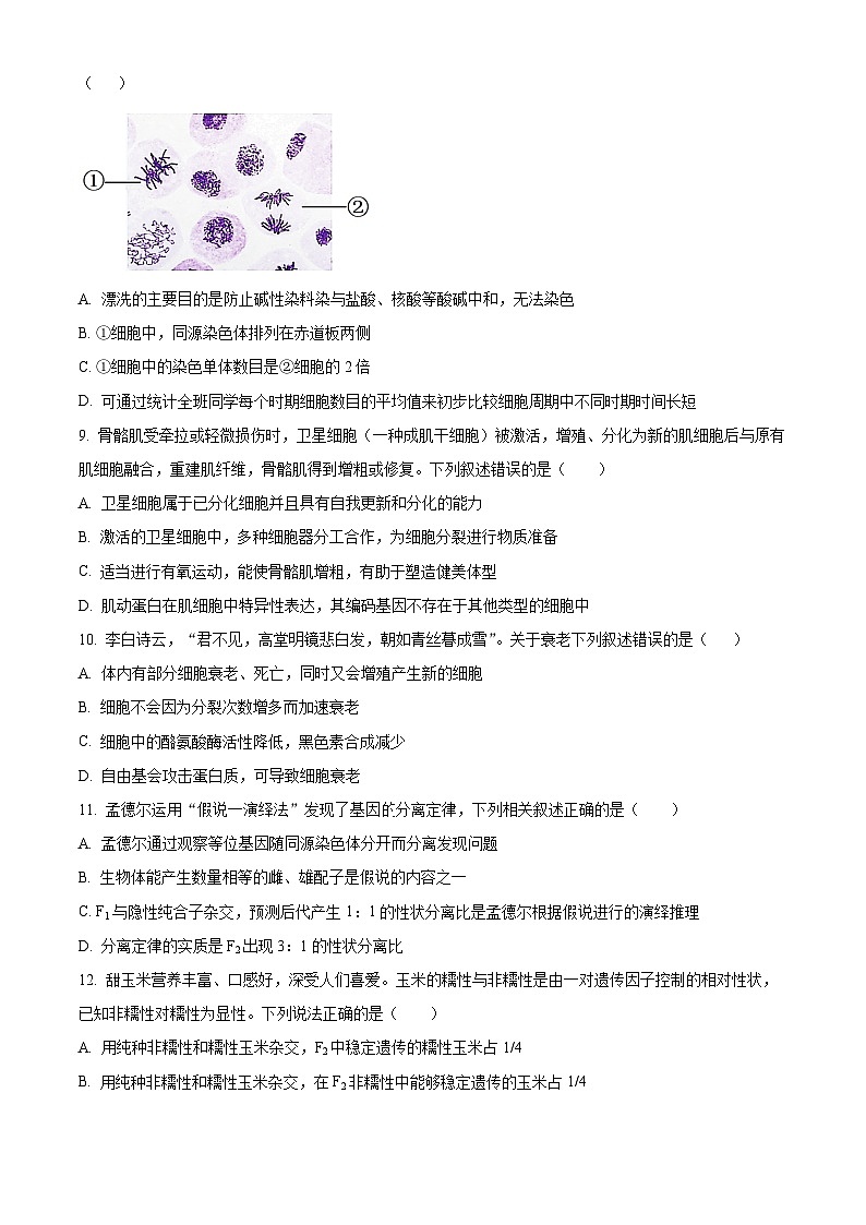 广东省江门市新会第一中学2023-2024学年高一下学期期中考试生物试题(原卷版+解析版)03