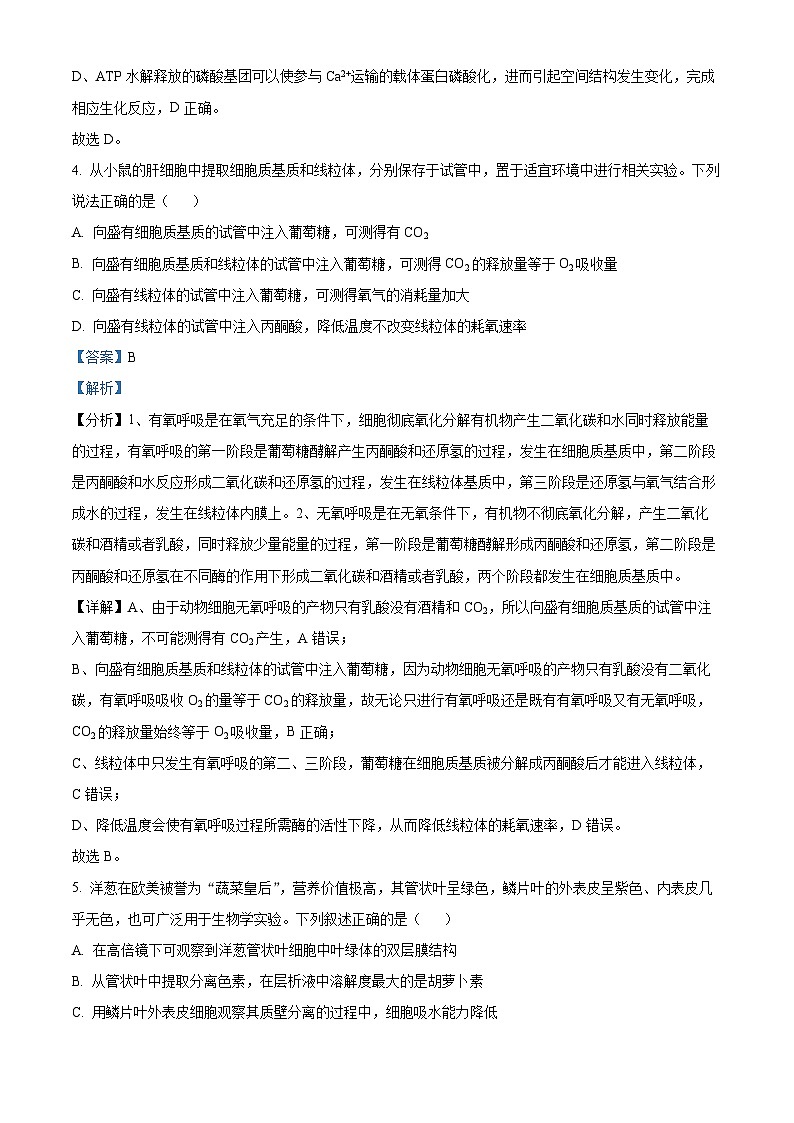 广东省江门市新会第一中学2023-2024学年高一下学期期中考试生物试题(原卷版+解析版)03