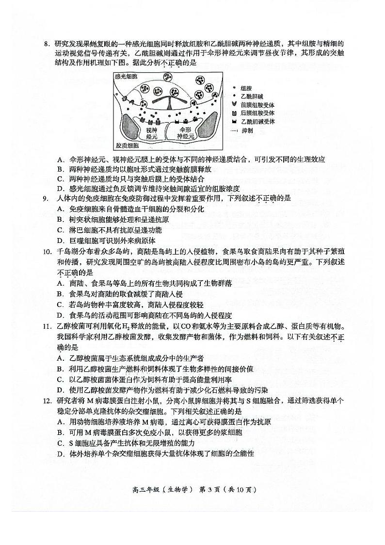 2024北京海淀高三二模生物试题及答案第3页