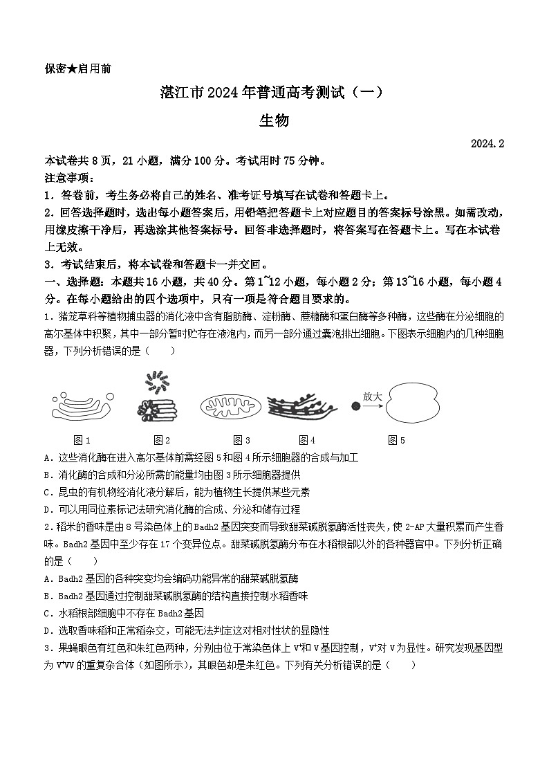 2024届广东省湛江市高三一模生物试题01