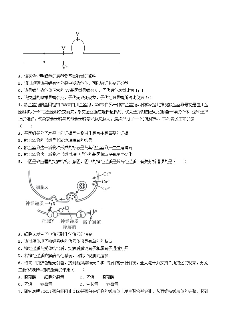 2024届广东省湛江市高三一模生物试题02