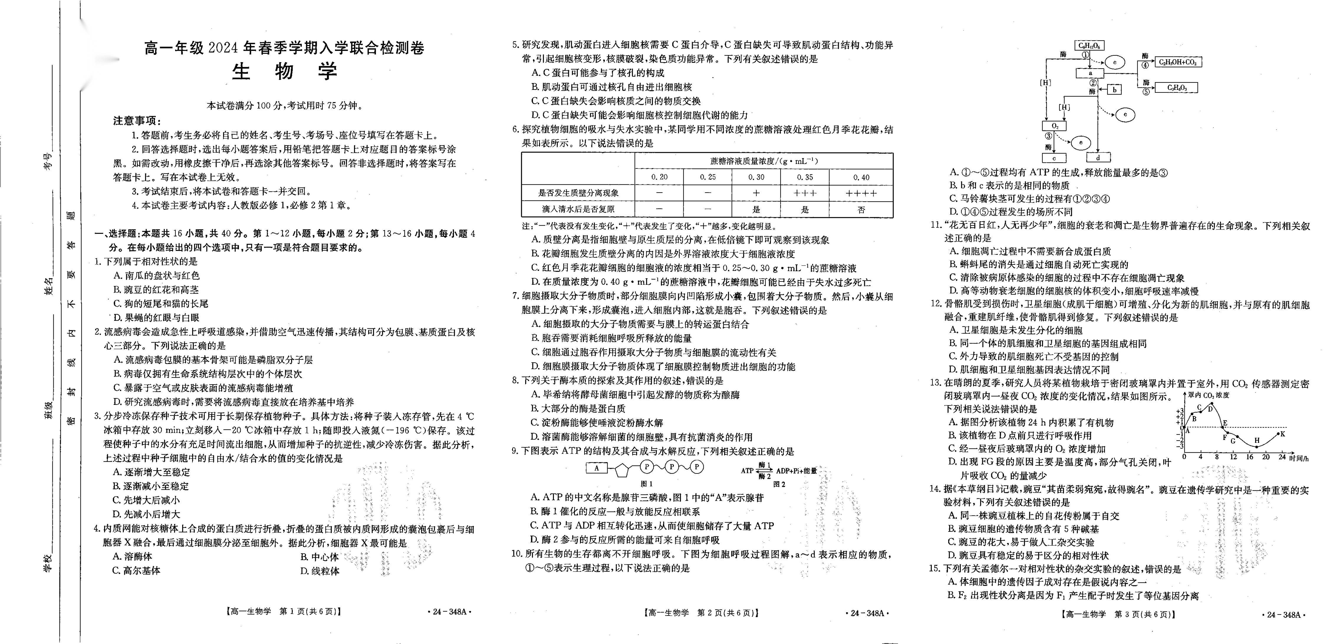 广西桂林市恭城瑶族自治县民族高级中学2023-2024学年高一下学期开学考试生物试题