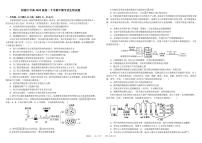 四川省成都市树德中学2023-2024学年高二下学期期中考试生物试题