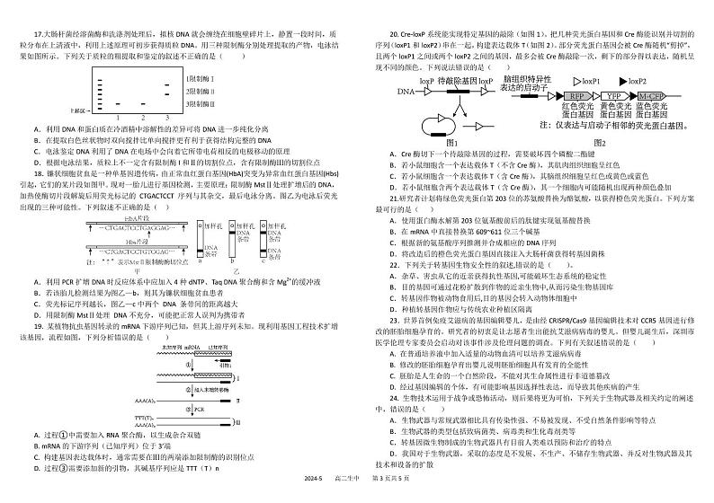四川省成都市树德中学2023-2024学年高二下学期期中考试生物试题第3页