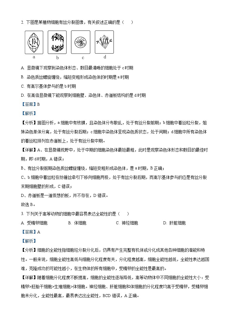 湖北省部分普通高中联盟2023-2024学年高一下学期期中联考生物试卷含解析第2页
