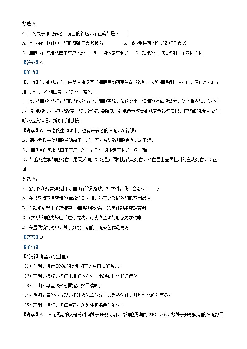 湖北省部分普通高中联盟2023-2024学年高一下学期期中联考生物试卷含解析第3页