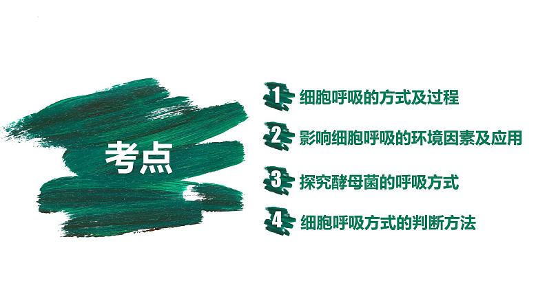 第08讲 细胞呼吸-【备战一轮】最新高考生物一轮复习优质课件第4页