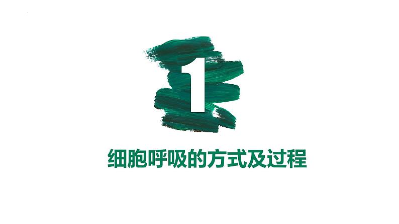 第08讲 细胞呼吸-【备战一轮】最新高考生物一轮复习优质课件第5页