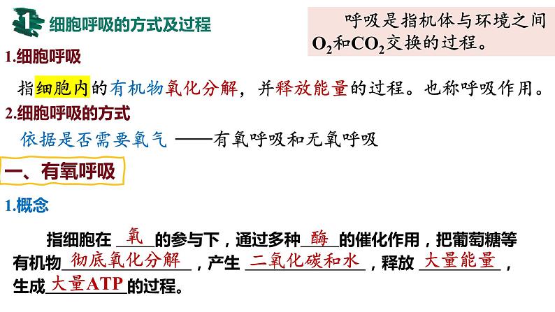第08讲 细胞呼吸-【备战一轮】最新高考生物一轮复习优质课件第6页