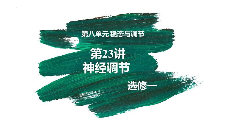 第23讲 神经调节-【备战一轮】最新高考生物一轮复习优质课件第3页
